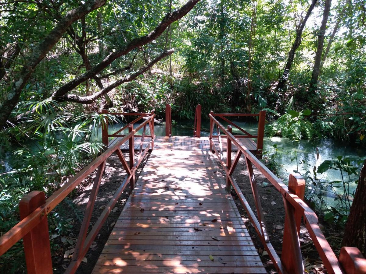 Pousada De Charme Formiga Ecolodge Mateiros Dış mekan fotoğraf