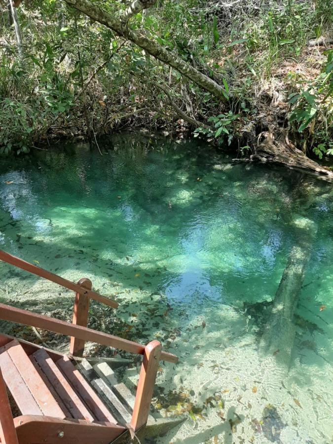 Pousada De Charme Formiga Ecolodge Mateiros Dış mekan fotoğraf